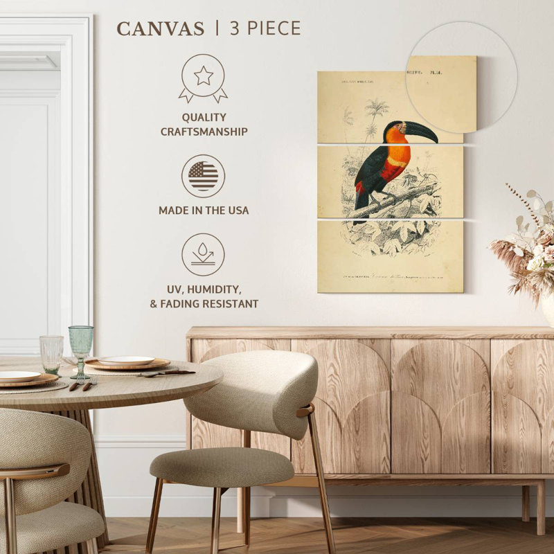 Brampt Toucan Du Para, 65" H x 42" W