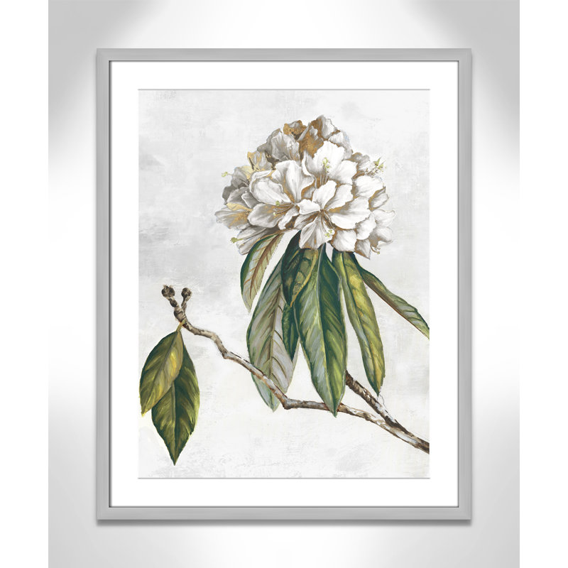 «Pearly Beauty II» par Eva Watts, Argent mat, L 23,5 po x H 29,5 po, Imprimé mat