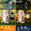 Animals Resin Garden Statue-102507748