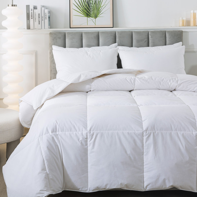 Édredon en duvet d'oie 600, Très grand