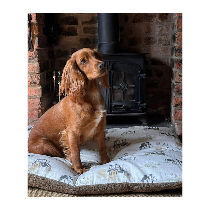 Dardel Pet Bed Cushion, 60.96cm W x 91.44cm L, Cream