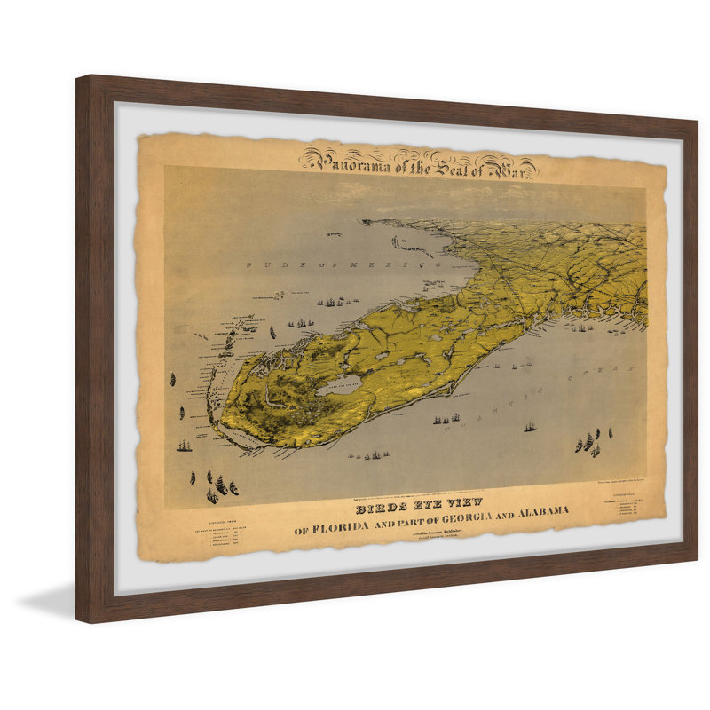 Bird's Eye View of Florida and Part of Georgia and Alabama - Reproduction d'art graphique sur papier encadré
