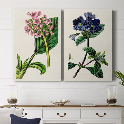 AntiqueFloralFolio III - Toile tendue avec châssis de qualité supérieure - Prêt à être accroché
