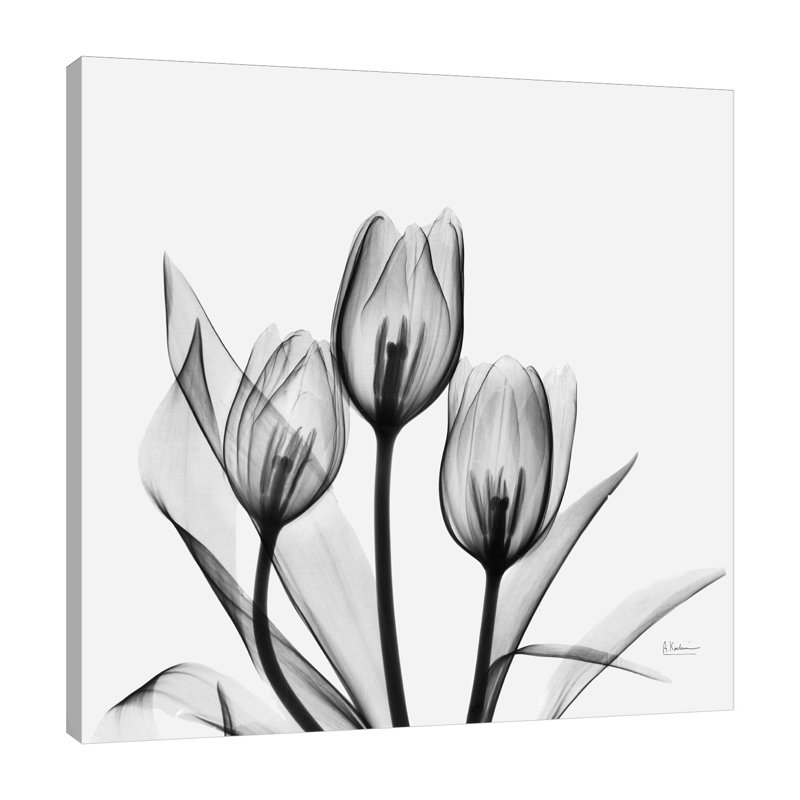 «Tulip Gray 2», toile tendue par Albert Koetsier, H 24 po x l 24 po x P 1,5 po