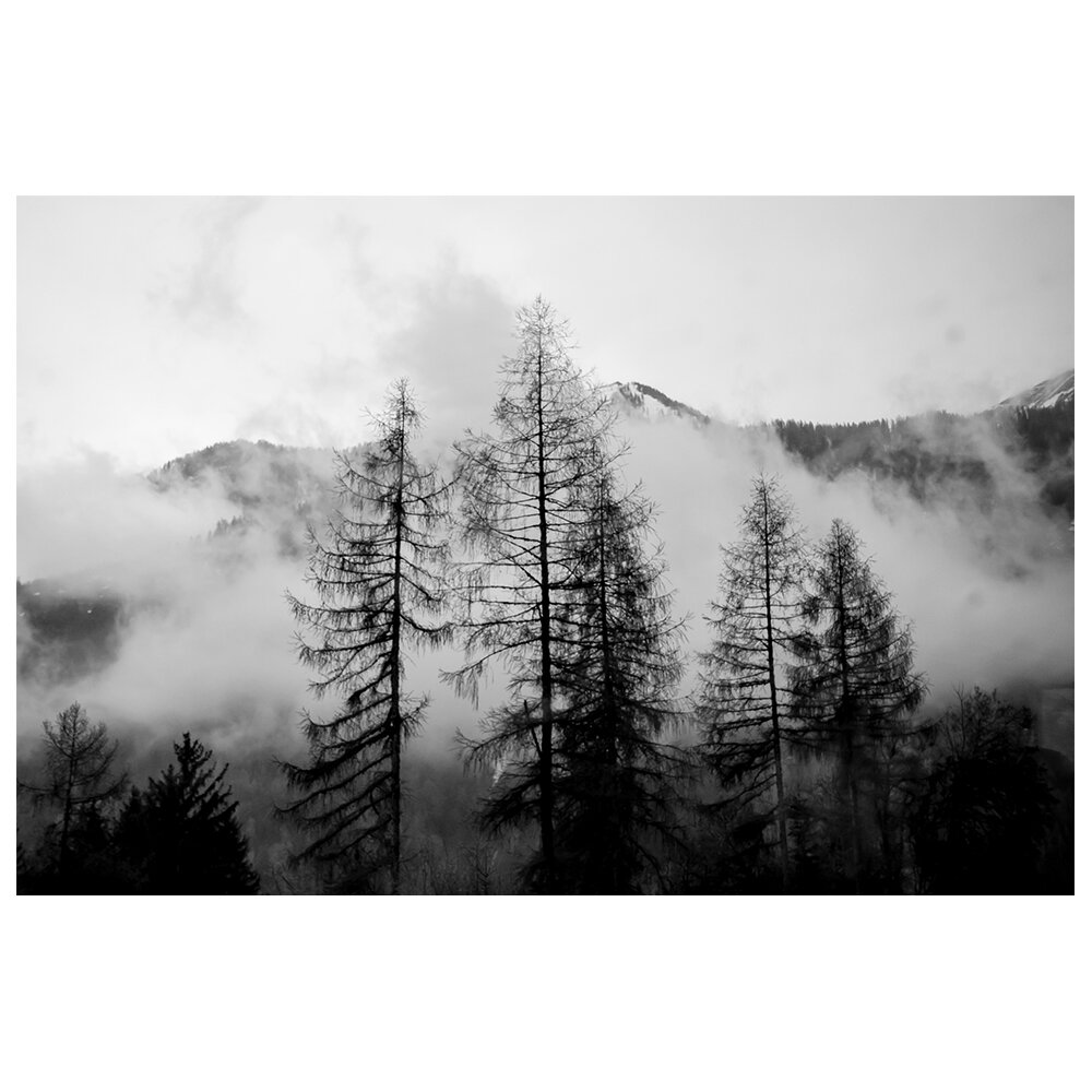 Leinwandbild - Fotografie "Einsamer Spaziergang unter den Gewässern"