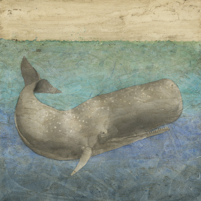Diving Whale II by Megan Meagher - Wrapped Canvas Painting, 30cm H x 30cm W x 3.8cm D