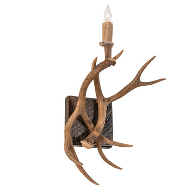 14" Wide Antlers Elk & Mule Deer Wall Sconce