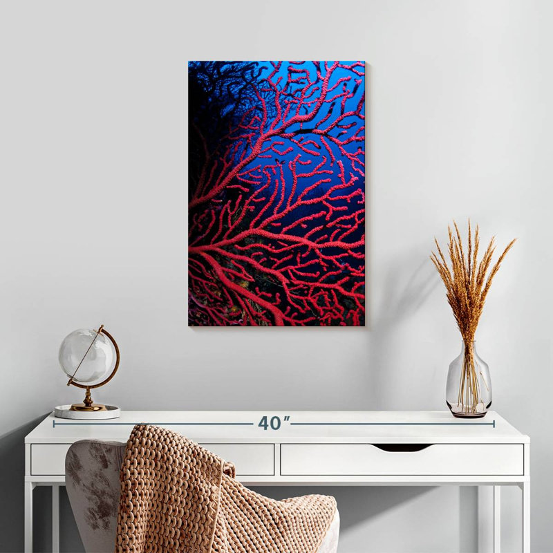 Brampt Violescent Sea Whip, 24" H x 16" W