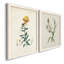 Toile encadrée de qualité supérieure Traditional Botanical III - prête à être accrochée-167555288-167555290