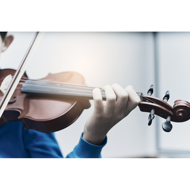 Violinist by Daniil Cherepanov - Wrapped Canvas Print, 30cm H x 46cm W x 3.8cm D
