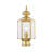 Amberdawn Lantern Head
