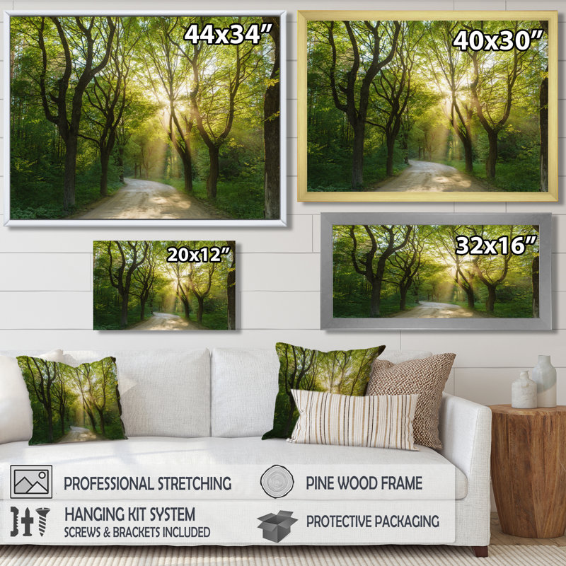 Soirée dans la forêt verte - photographie, H 12 po x l 20 po, Cadre flottant blanc