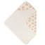 Parker Baby Hooded Towel (rainbow)