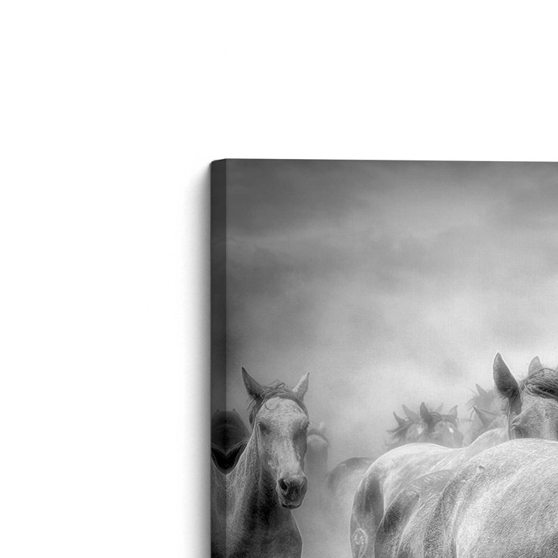 Thundering Hooves, reproduction sur toile, Toile tendue, H 8 po x l 12 po x P 1,25 po