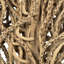 Faux Medusa Branch