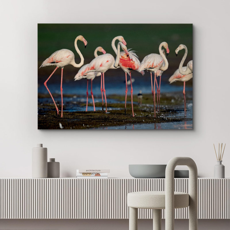 Flamants roses vibrantes, safari et jungle, Toile tendue, H 32 po x l 48 po x P 1,5 po