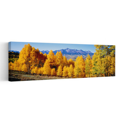 Fall Aspen Trees Telluride Co Colorful Abstract Contemporary Autumn Forest Wall Art