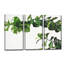 Chlorophy II par Norman Wyatt Jr. - Ensemble de 3 reproductions sur toiles tendues-28140938