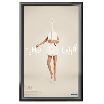 Snap Frame