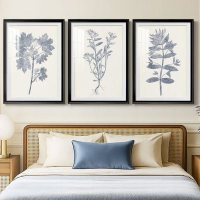 Marine Botanicals I - reproduction sur mesure encadrée de qualité supérieure - 3 pièces