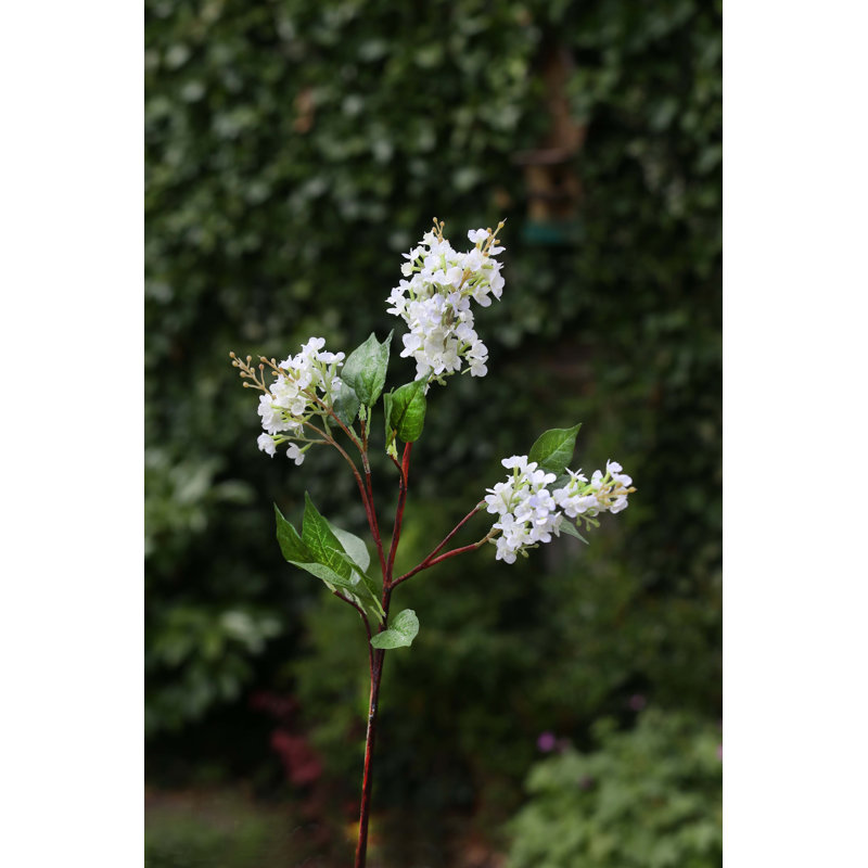 White Lilac (set of 5)