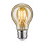 LED Light Bulbs
