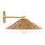 Meridian 1-Light Wall Sconce in Natural Brass-1864773898
