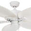 Ventilateur de plafond tropical 52 "Palm Valley-1624905553
