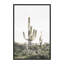 « rosé timide cactus », photographie-43719289-43719294
