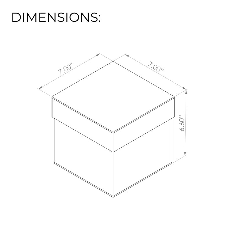Rebrilliant Plastic Bin