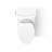 Veil One-Piece Elongated Dual-Flush Toilet with Skirted Trapway-101380487
