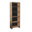 169cm H x 56cm W Standard Bookcase