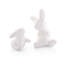 Salt & Pepper Shaker