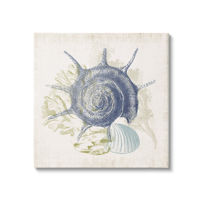 «Intricate Conch Seashell Dessin Layered Coral Botanicals», art mural par Victoria Barnes, H 17 po x l 17 po x P 1,5 po