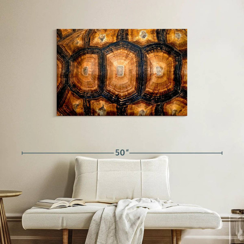 Brampt Turtle Carapace Texture, 26" H x 39" W