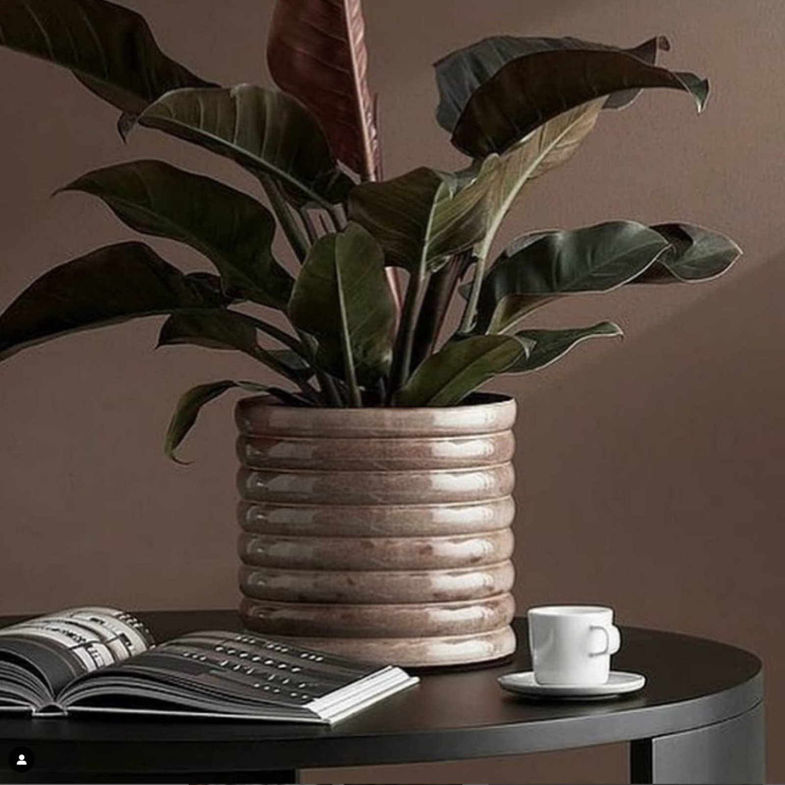 4" Ceramic Pot Planter, 3.94" H x 3.94" W x 3.94" D, White