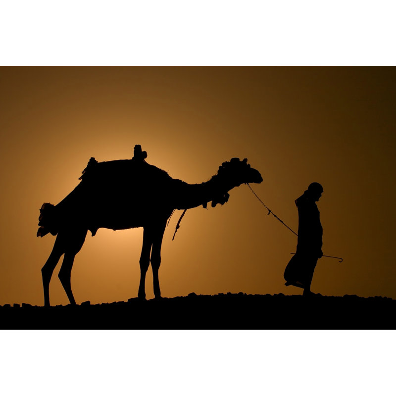 Camel In Desert by Kirza - Wrapped Canvas Print, 20cm H x 30cm W
