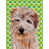 Norfolk Terrier (brun et gris) sélectionné