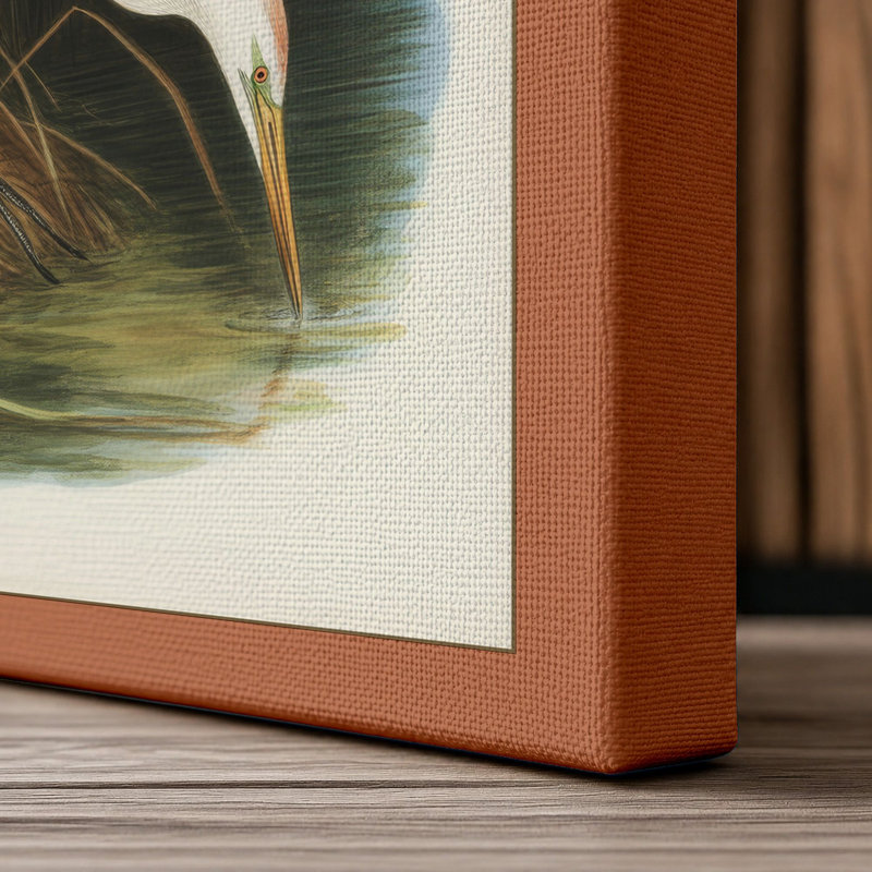 Egret in Shallow Water Botanical - Wrapped Canvas, 24x16 - 61.0 x 40.6 cm, Terracotta Border