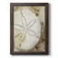 Dry Sand Dollar I, toile encadrée de qualité supérieure - prête à être accrochée-73944029