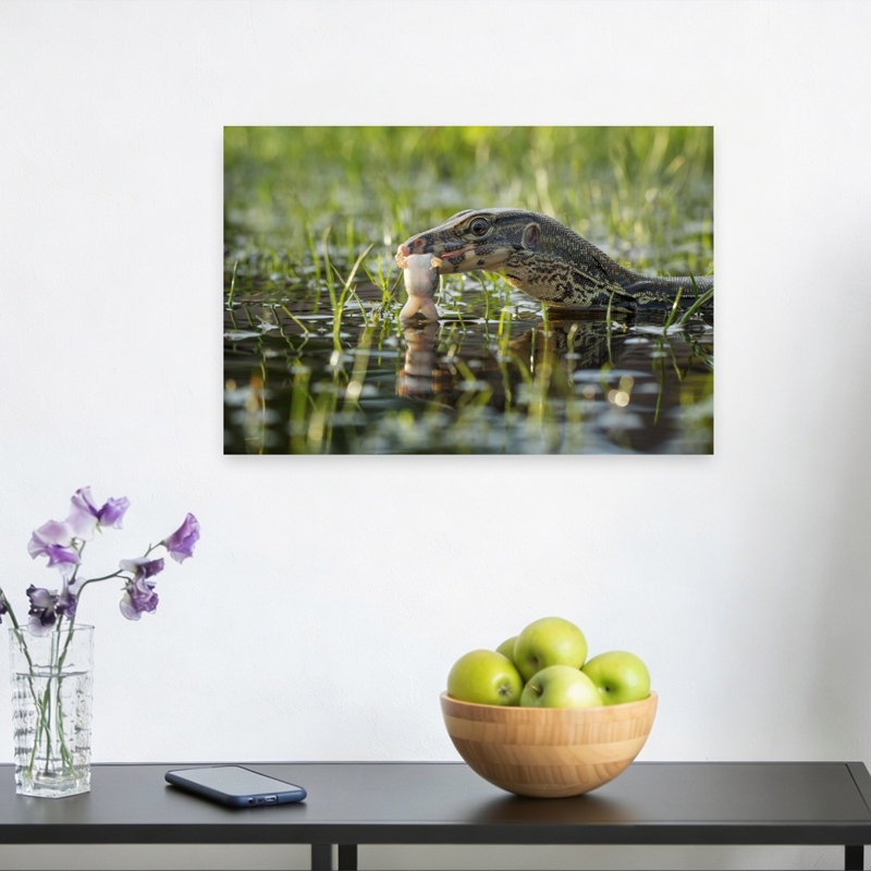 Monitor Lizard'S Catch Contemporary Fish Lizard Nature Wildlife Wall Art Print 1 Piece Wrapped Canvas Wall Art