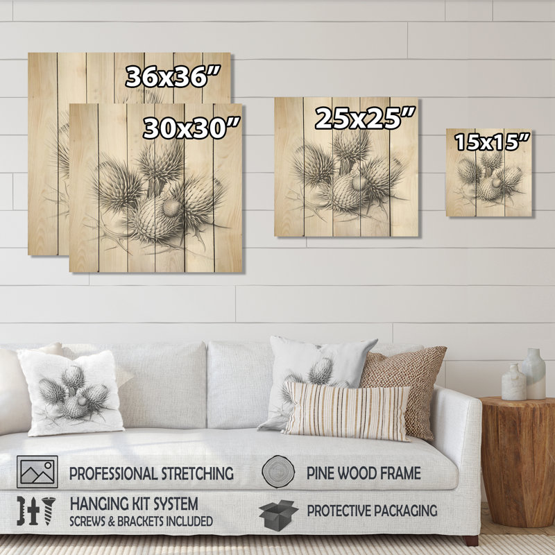 Black And White Thistle Flowers - Thistle On Wood Print, 15" H x 15" W