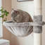 206cm H Cat Tree-57341744-105628841