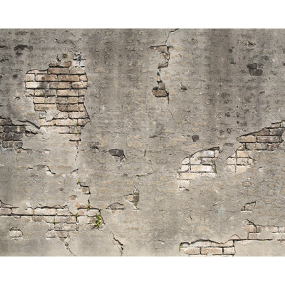 Bergin 9.10' x 94" 6 Piece Wall Mural Set