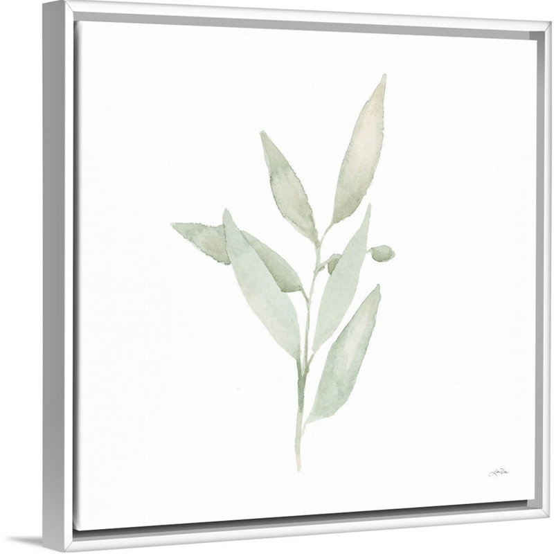 Art mural sur toile Sage II, H 32 po x l 32 po, Toile avec cadre blanc