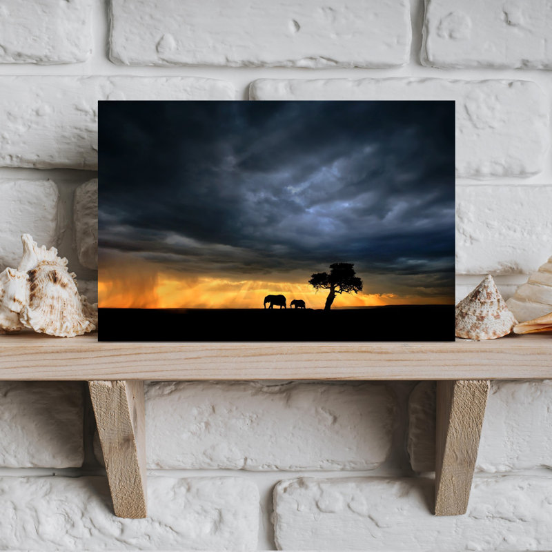 Xavier Ortega - Wrapped Canvas Print, 30.48 cm H x 45.72 cm W