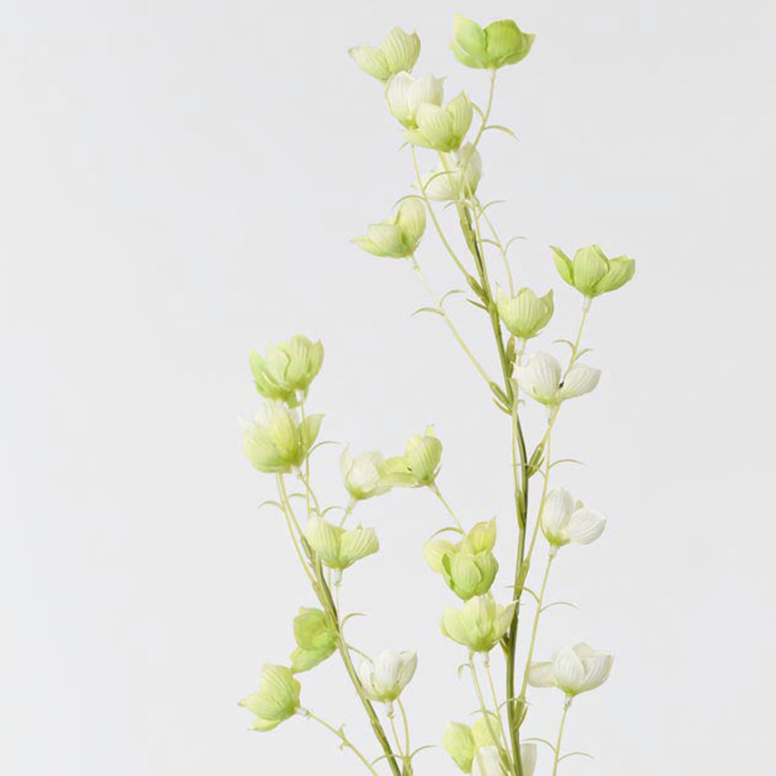 Audet Cherry Blossom Stems, 36.66" x 4", Light Green