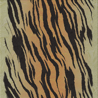 Indoor Rug