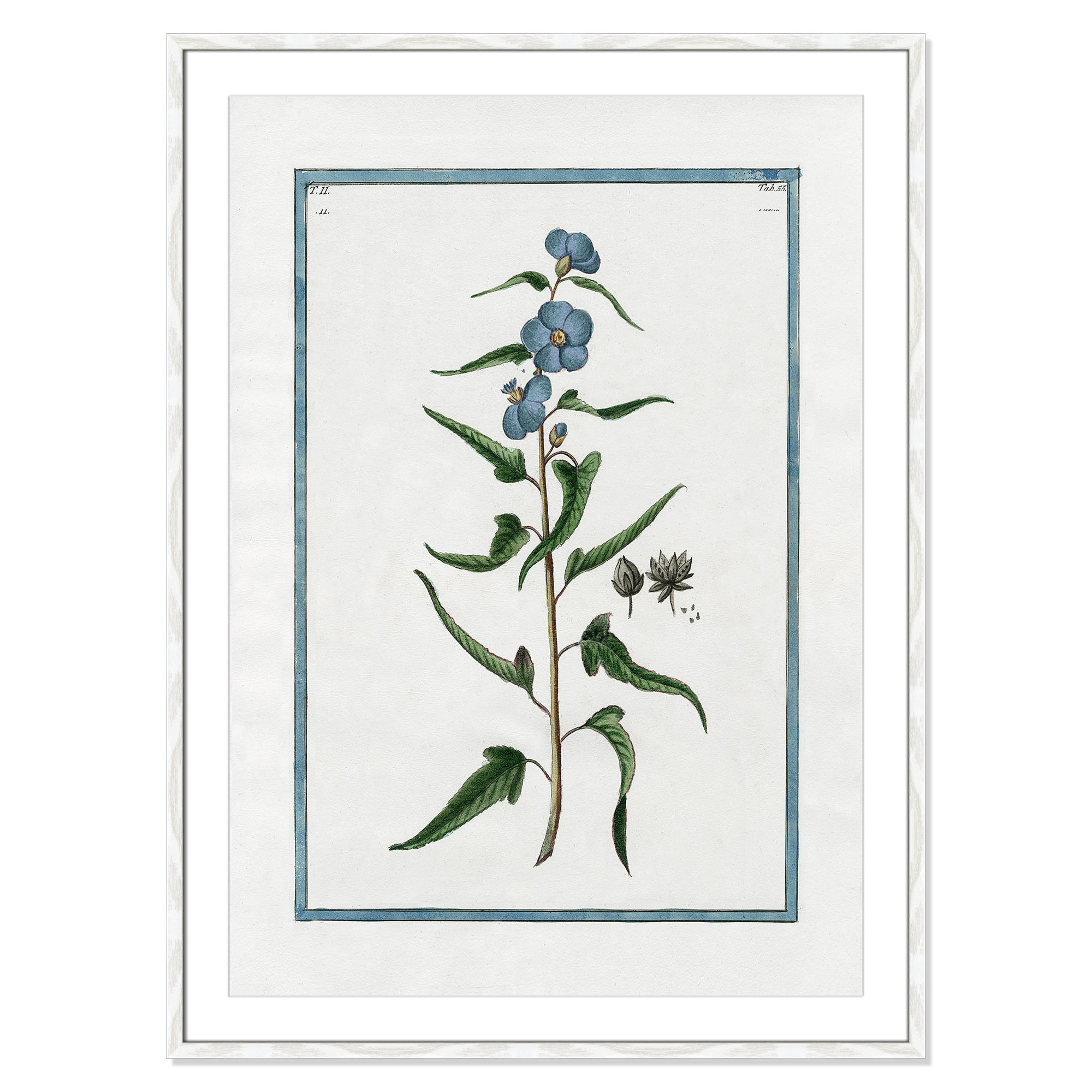 Shabby Elegance Botanical I - Framed Art Full Bleed, 29.5" W x 41.5" H, White Framed