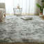 Chalandra Solid Colour Shag Area Rug-87058077